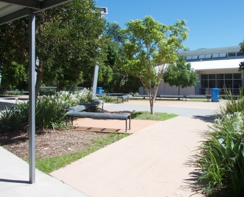 Meridan State College 2