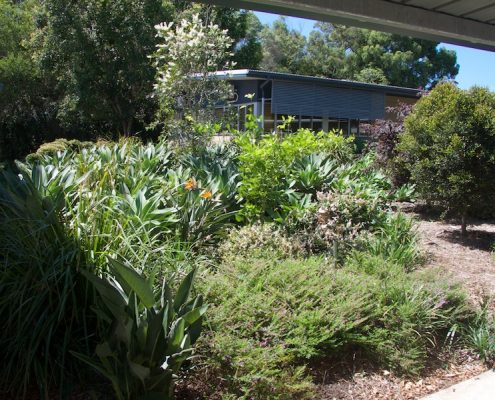 Meridan State College 6