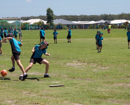 Meridan State College 12