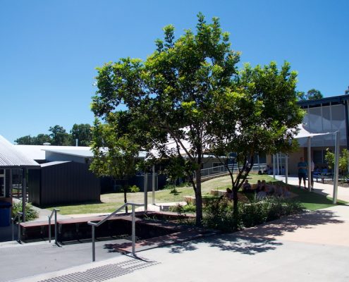 Meridan State College 24