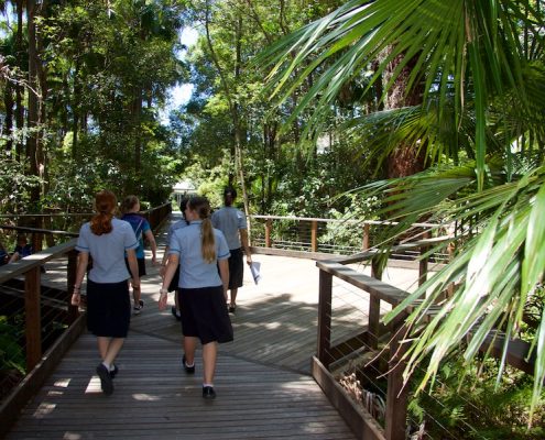 Meridan State College 28