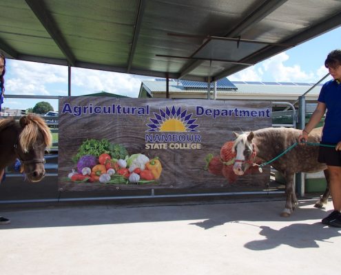 Nambour State College 18 Nambour State College 18