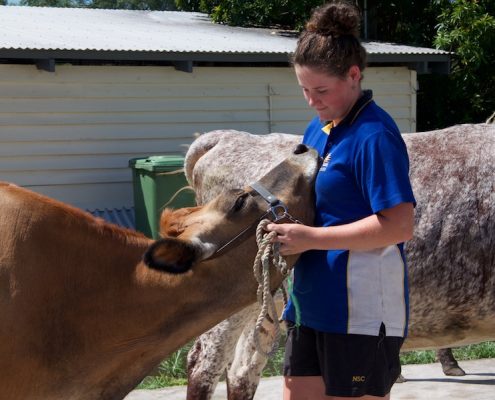 Nambour State College 20 Nambour State College 20