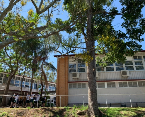 The Gap State High School 13 The Gap State High School 13