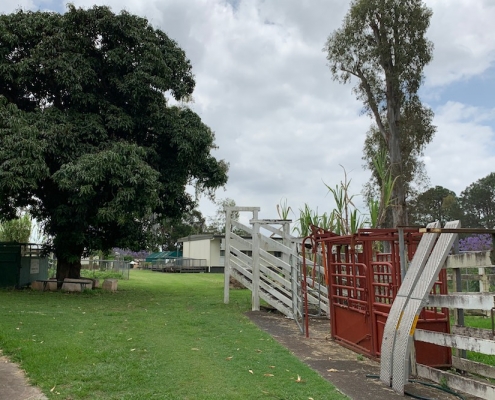 Corinda State High School 7