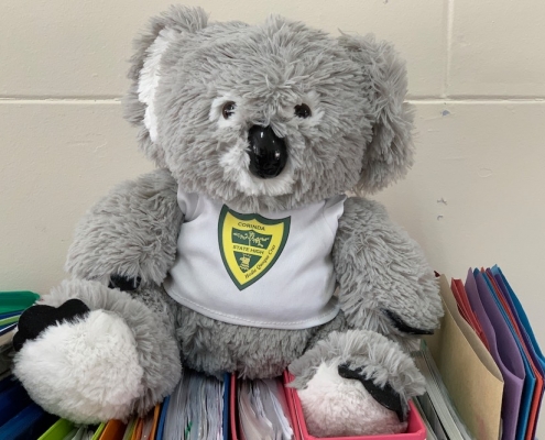 Corinda State High School 17