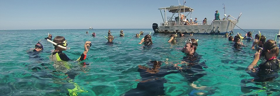 Chancellor State College 3 Chancellor State College 3