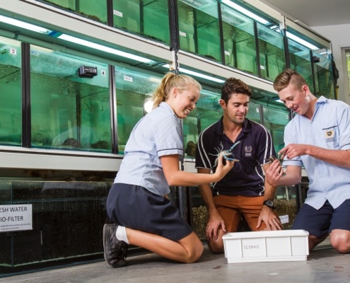 Palm Beach Currumbin SHS 6