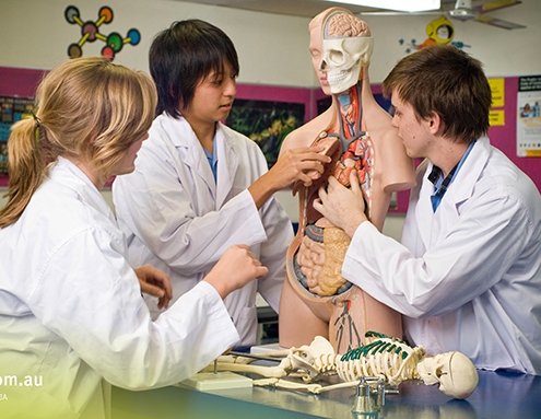 Robina State High School 2