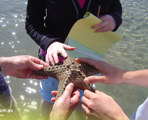 Rochedale State High School 3 Rochedale State High School 3