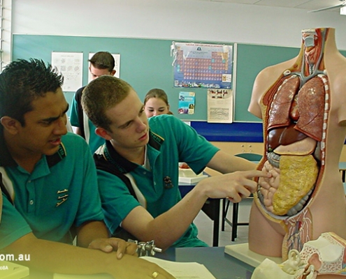 Sunnybank State High School 3