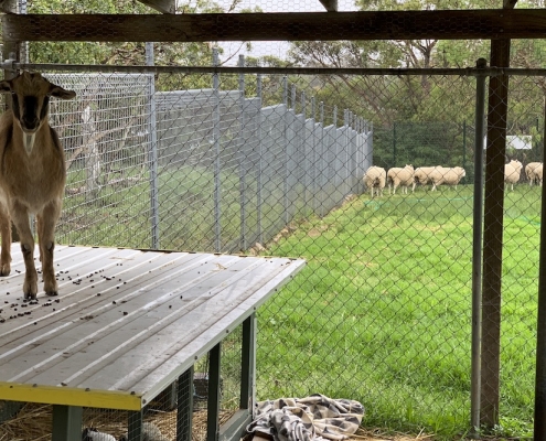 Menai High School 24 Menai High School 24