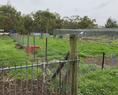 Menai High School 19 Menai High School 19