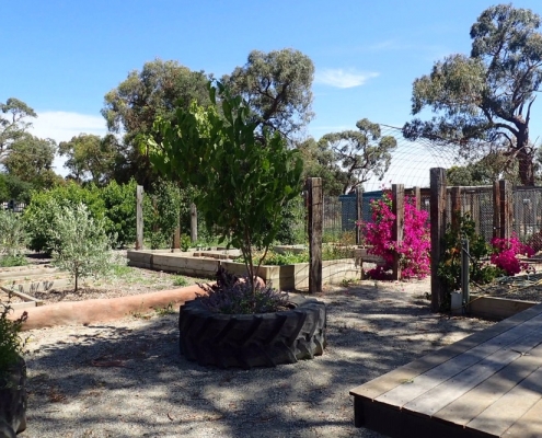 McClelland College 7