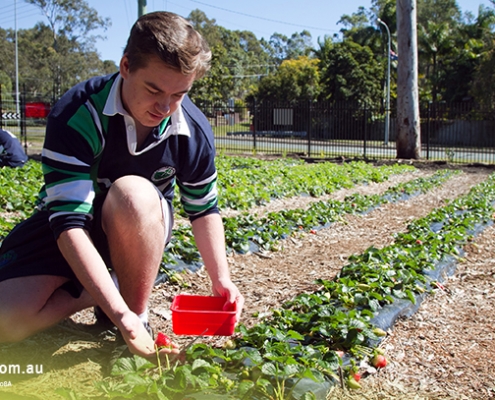 Helensvale State High School 3