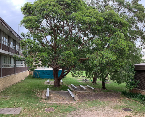 Endeavour Sports High School 14