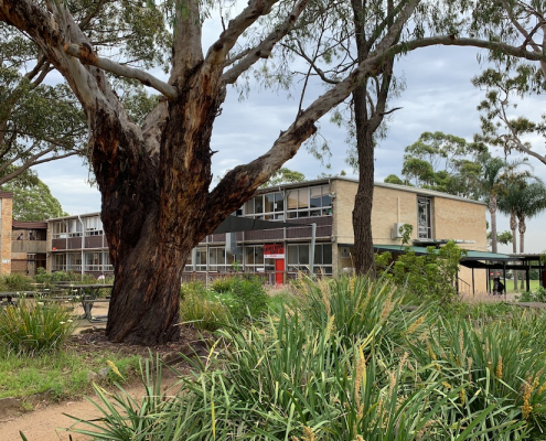 Endeavour Sports High School 4