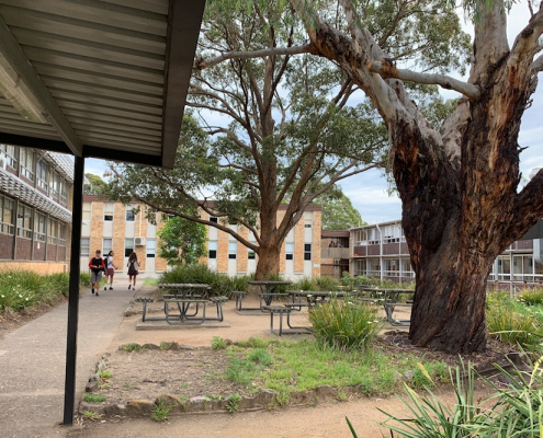 Endeavour Sports High School 5