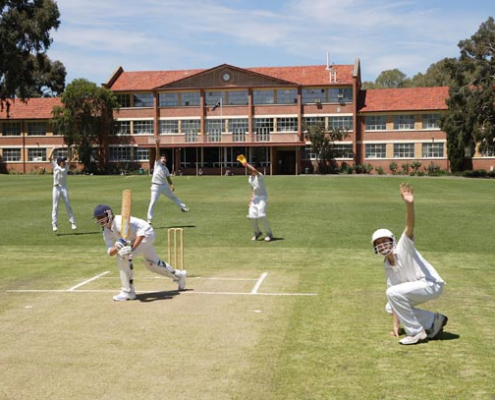 Marryatville High School: Cricket Marryatville High School: Cricket