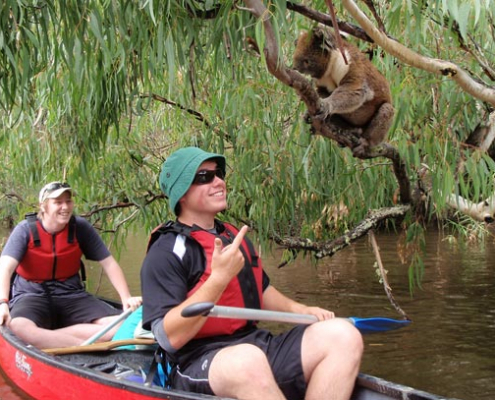Victor Harbor High School: Canoeing Trip Victor Harbor High School: Canoeing Trip