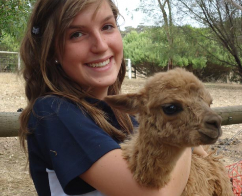 Victor Harbor High School: Farm work experience Victor Harbor High School: Farm work experience