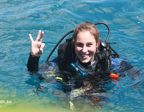 Pimlico State High School 4 Pimlico State High School 4