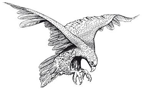 Prospect High School Logo