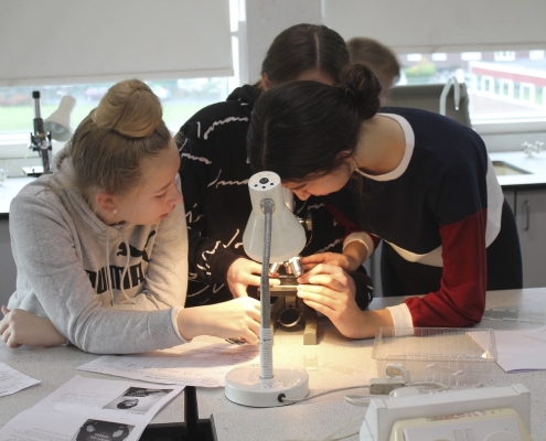 Collingwood-College-1