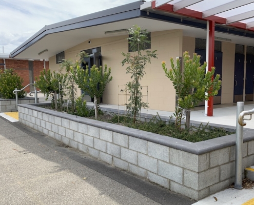 Prospect High School 14