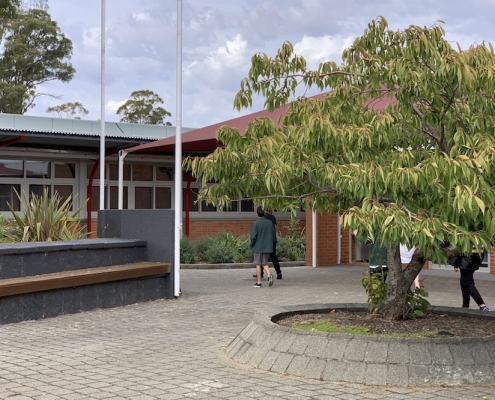 Prospect High School 5