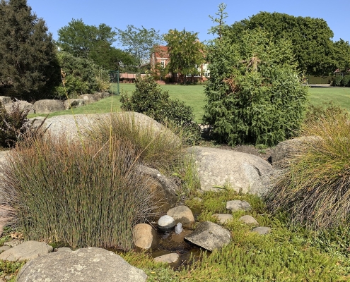 scotch_oakburn_coll_15