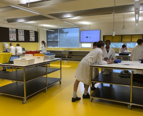 scotch_oakburn_coll_21