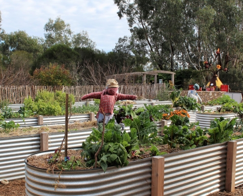 Pembroke_School_Old-Watalunga_2