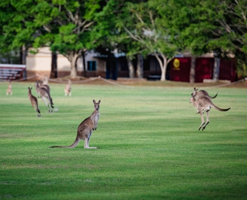 Fraser Coast Anglican College 2 Fraser Coast Anglican College 2