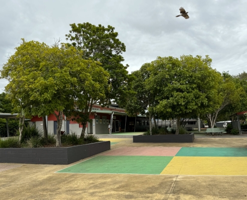 Chancellor State College Chancellor State College