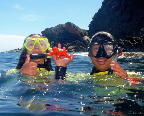 Snorkeling on Kangaroo Island