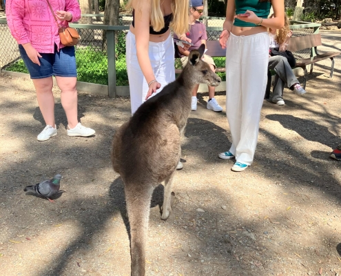Maryborough State High School
