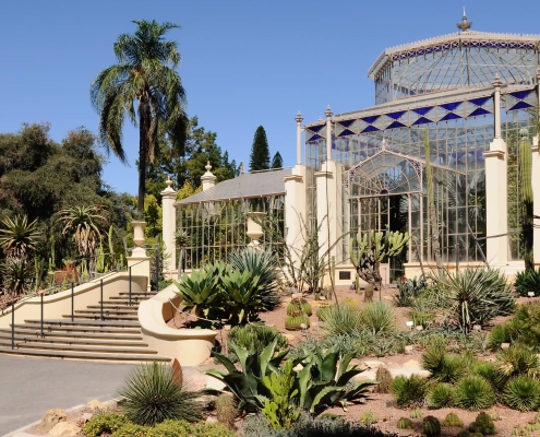 adelaide_botanic_garden